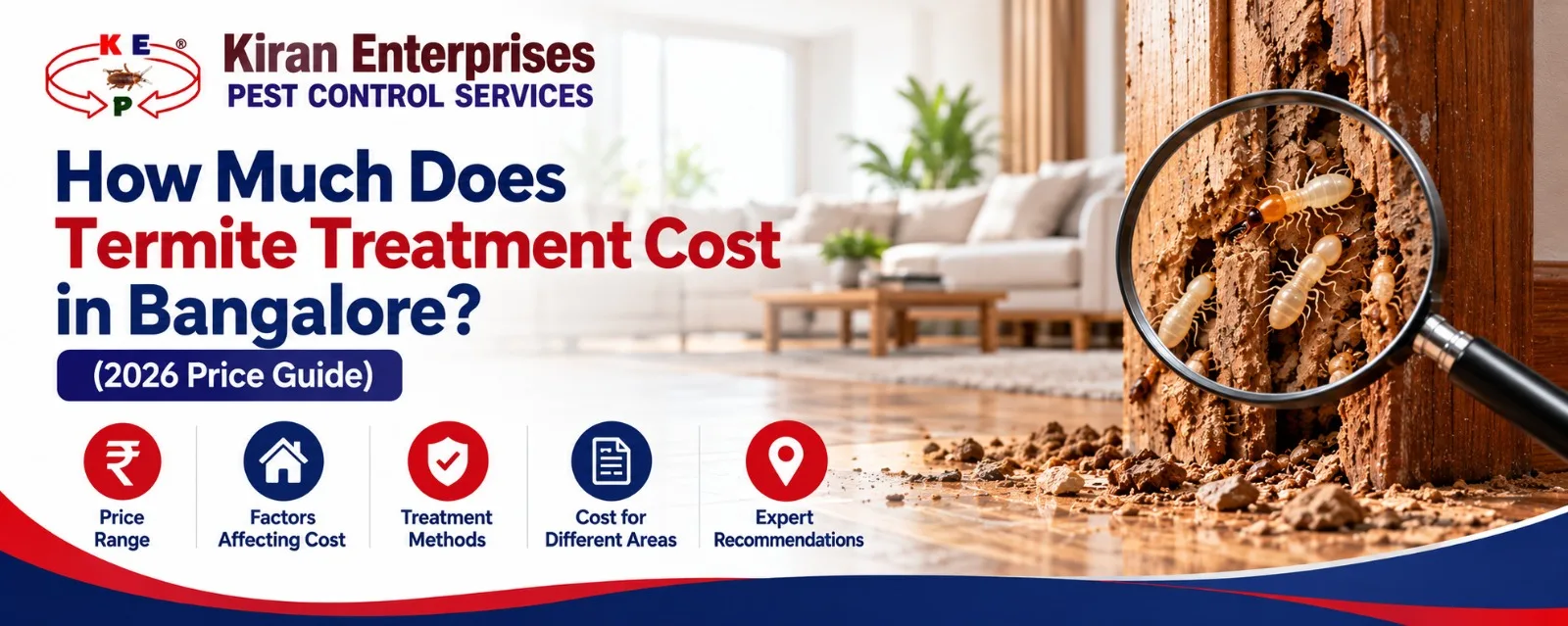 How Much Does Termite Treatment Cost in Bangalore? (2026 Price Guide)