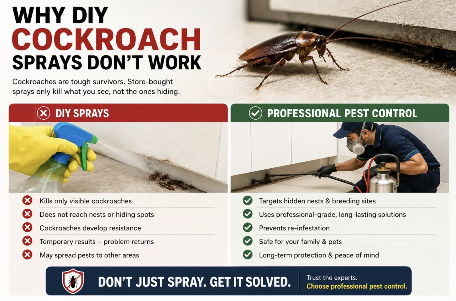 Why DIY Cockroach Sprays Don’t Work (And What Actually Does)