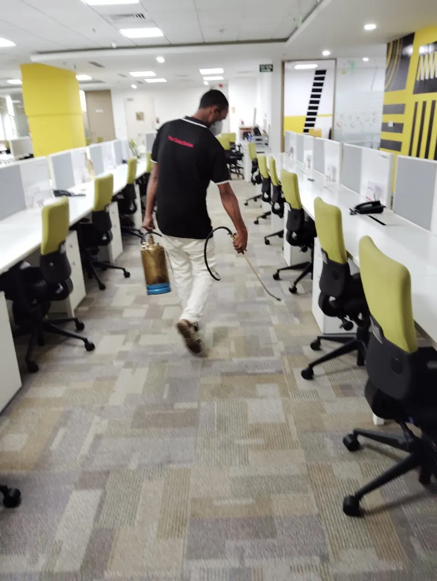 Technician treating a corporate workspace