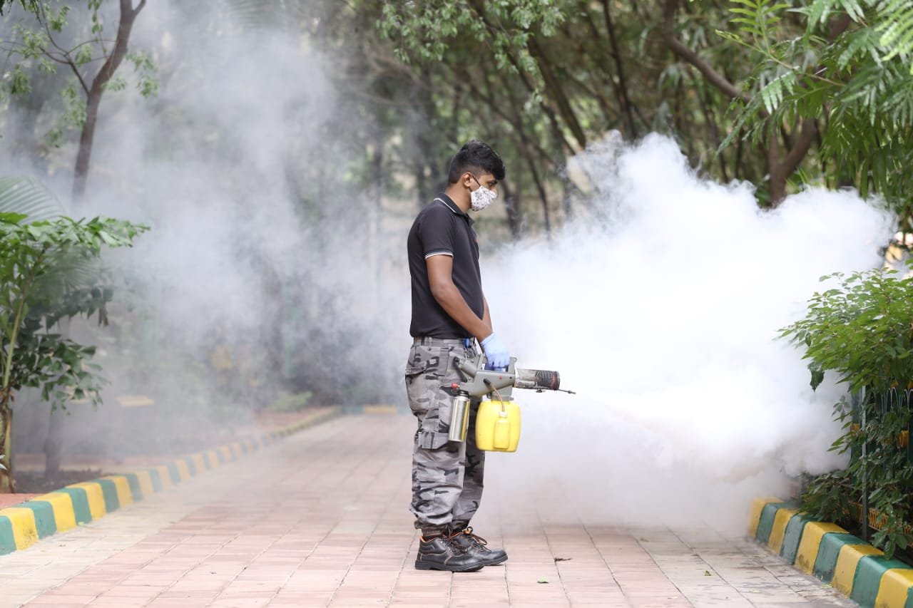 Pest control service in Whitefield