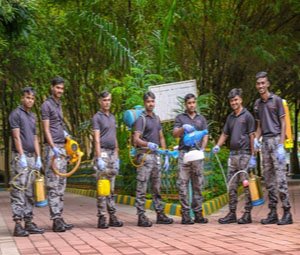 Pest control service in Kaval Byrasandra