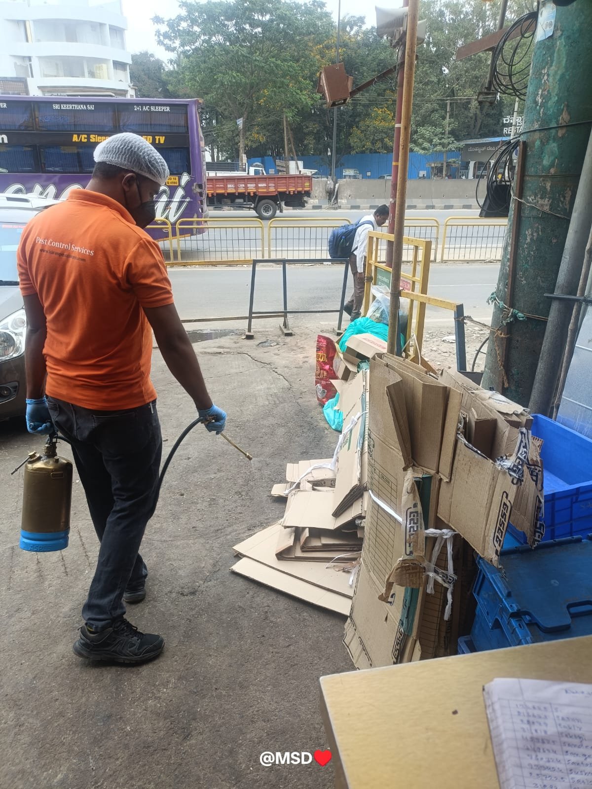 Pest control service in Bagalur