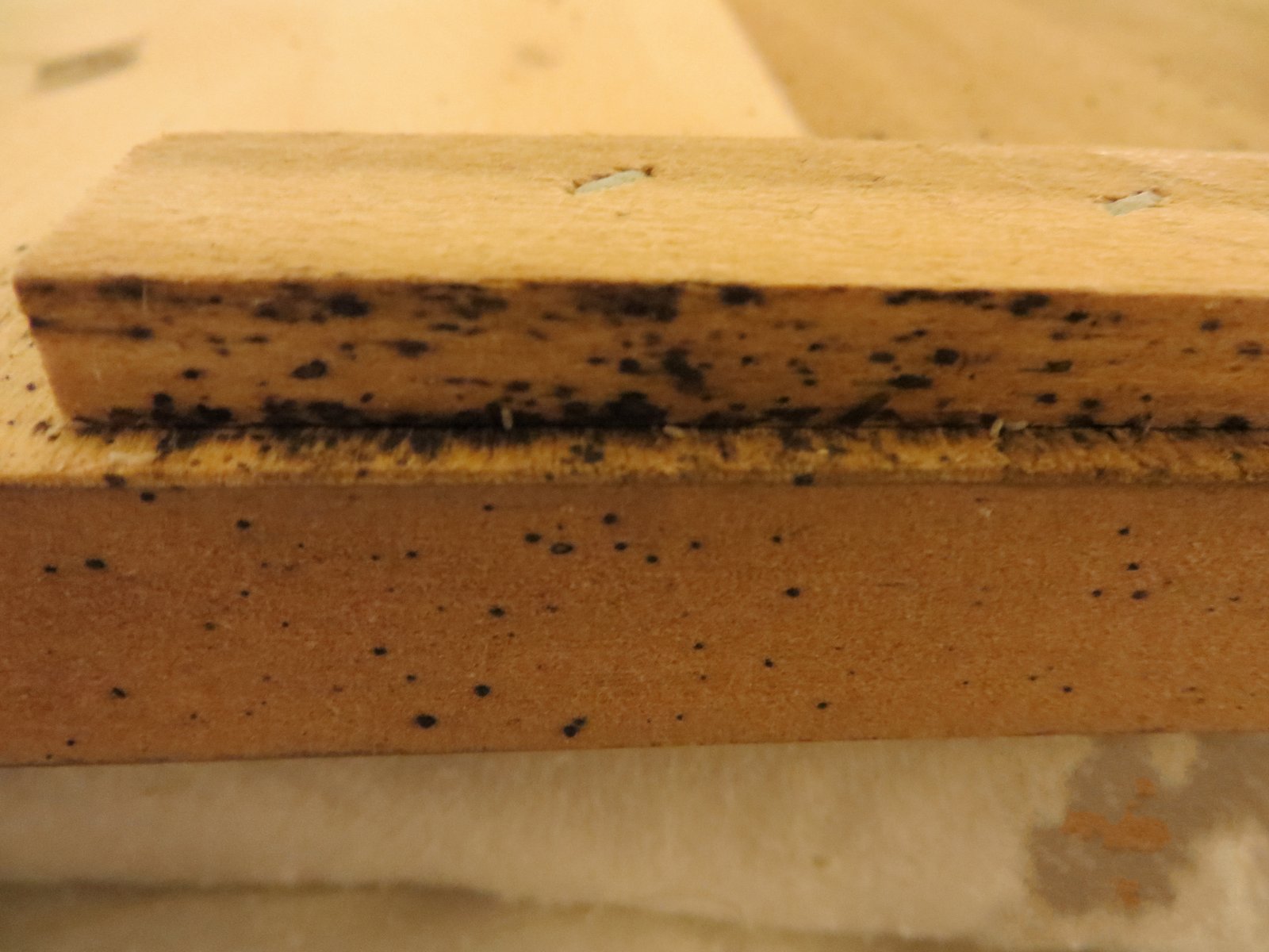 Dark fecal marks and pale eggs on a wooden bed frame