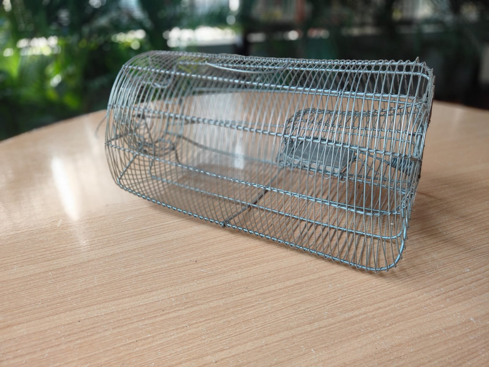 Multi-Catch Rat Trap photo 2