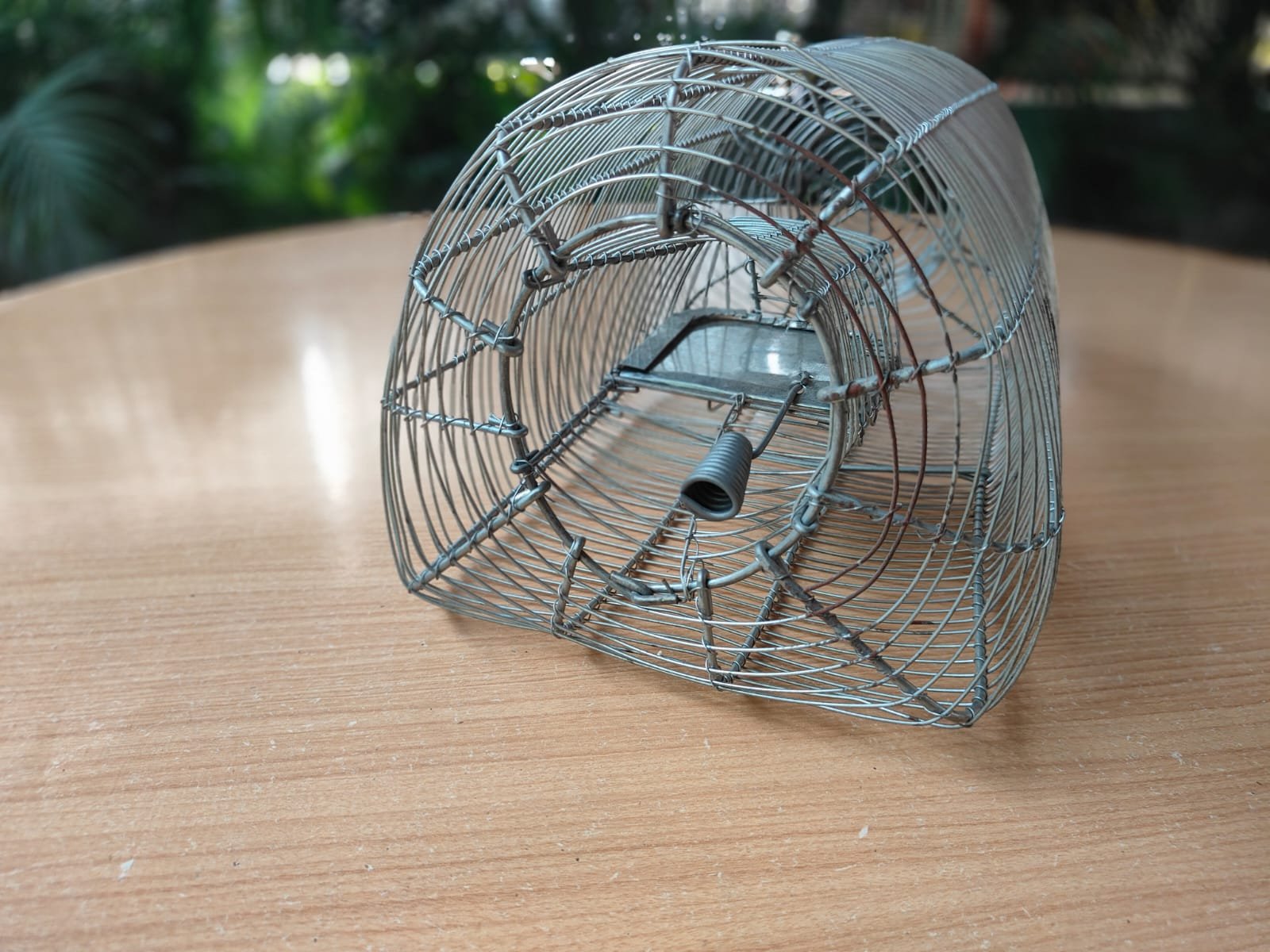 Multi-Catch Rat Trap photo 3