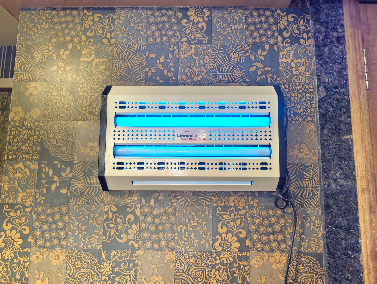 UV fly trap positioned inside a customer premises